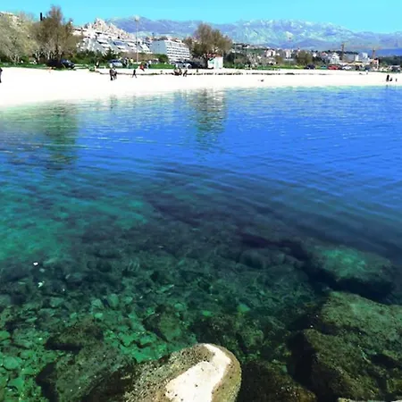 Sweet Peppermint View