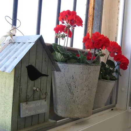 Apartment Sweet Peppermint View