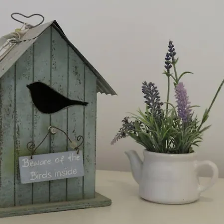 Apartment Sweet Peppermint View