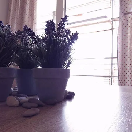 Sweet Peppermint View * Split