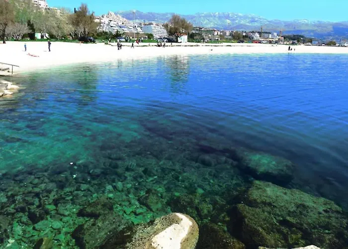 Sweet Peppermint View