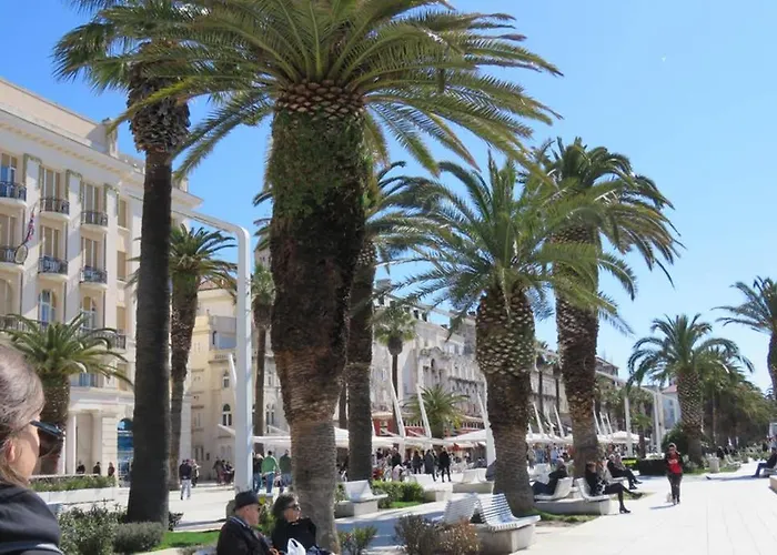 Sweet Peppermint View Split